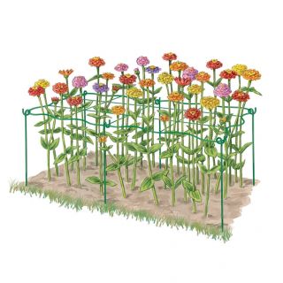 Cut Flower Grid Support Thumbnail